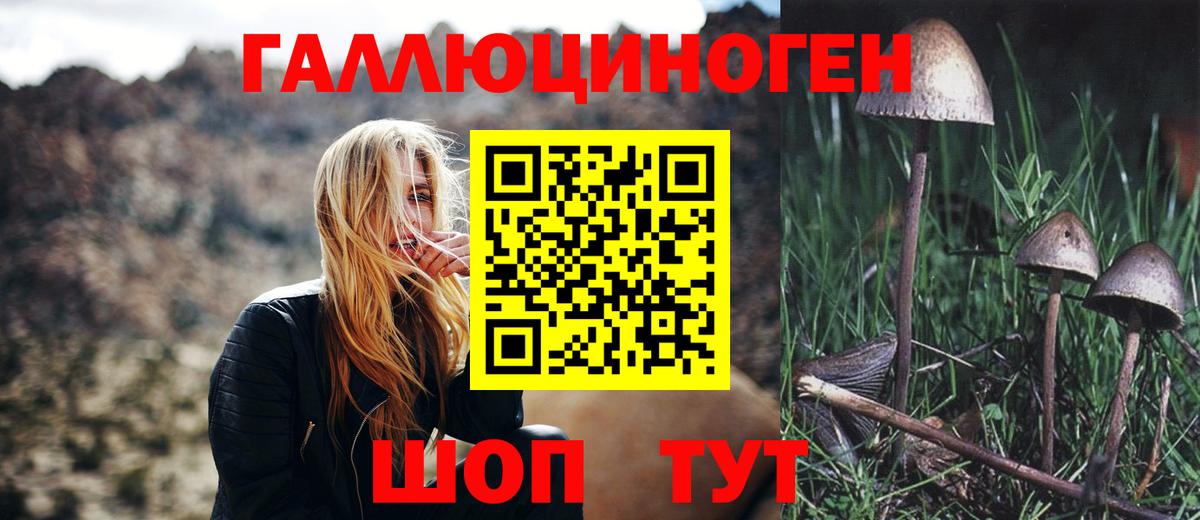 Галлюциногенные грибы прущие грибы  Вход с VPN  Ржев 